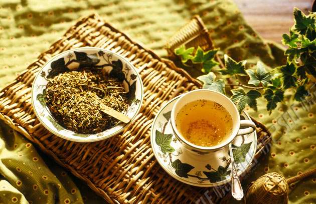 茶叶小知识之选购